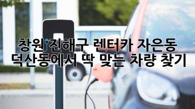 창원 진해구 렌터카: 자은동, 덕산동에서 딱 맞는 차량 찾기